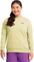 Женский свитшот Jack Wolfskin Celebrate The Paw Crewneck W A65903_T0410 XS жёлтый