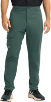 Штани чоловічі Jack Wolfskin Prelight Pulse Pants M A65858_E0271 54 зелені